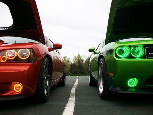 Brothers - Fraternal Twins 